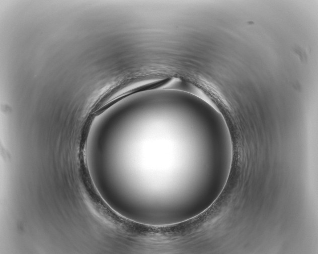 X0000091350538200708101532
