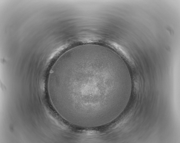 X0000091350539200708101532
