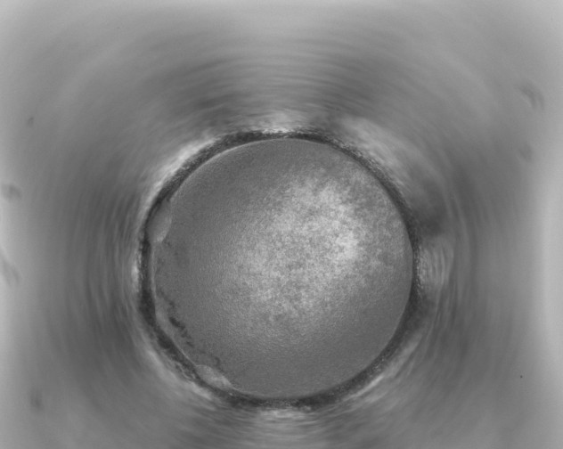 X0000091350540200708101532