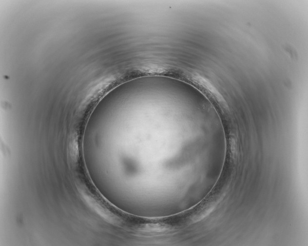 X0000091350541200708101532