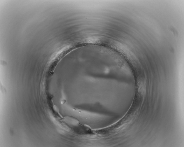 X0000091350542200708101532