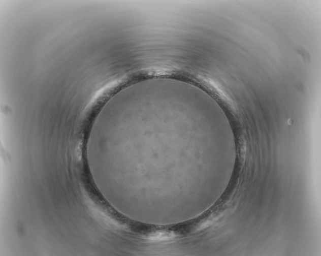 X0000091350543200708101532