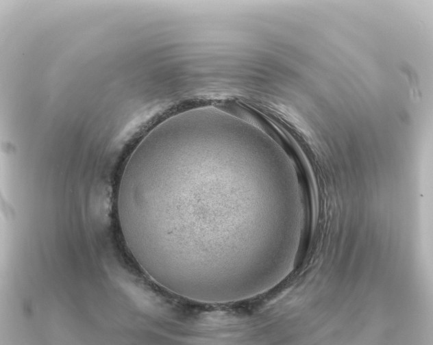 X0000091350544200708101532