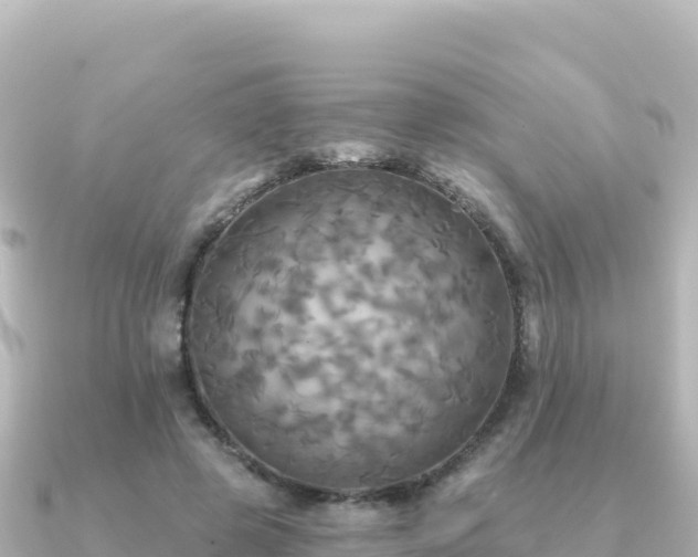 X0000091350545200708101532