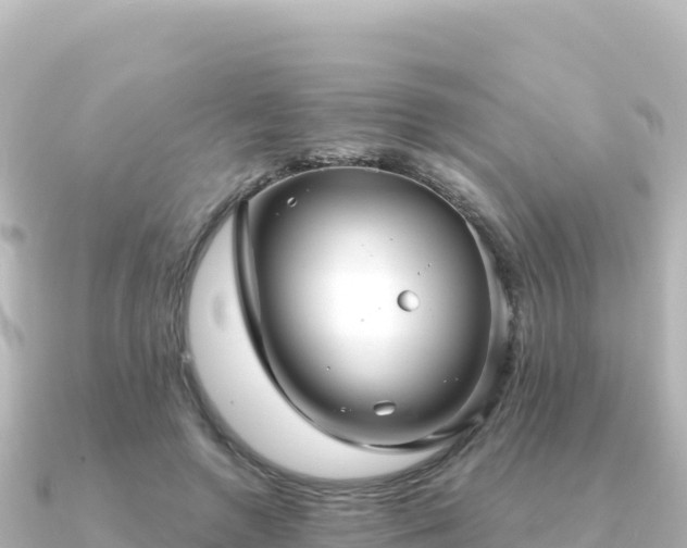 X0000091350546200708101532