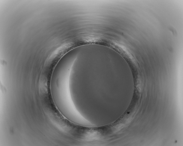 X0000091350547200708101532