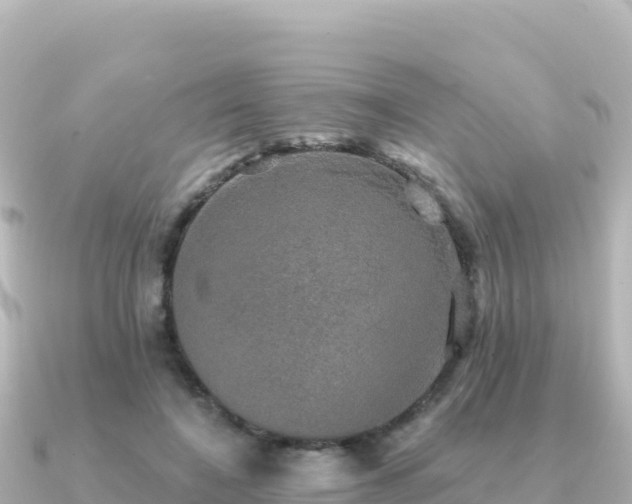X0000091350548200708101532