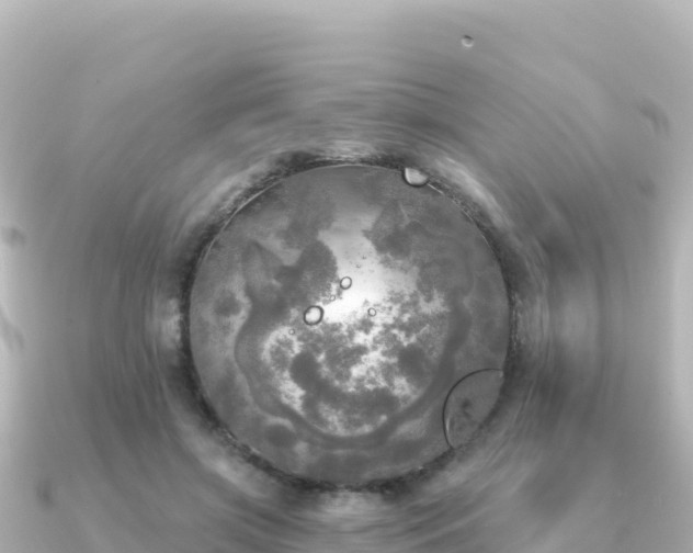 X0000091350549200708101532