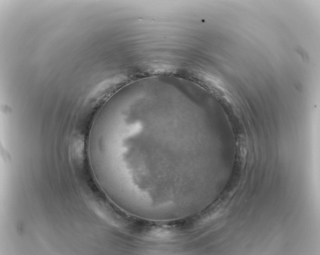 X0000091350550200708101532