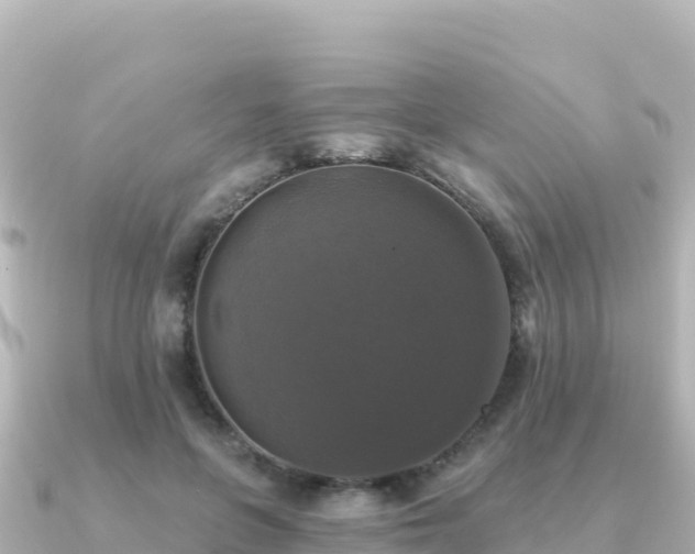 X0000091350551200708101532