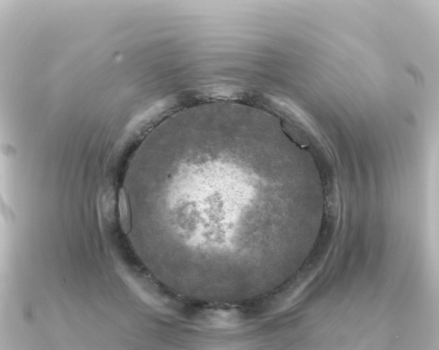 X0000091350552200708101532