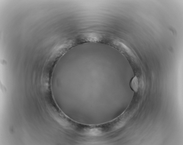 X0000091350553200708101532