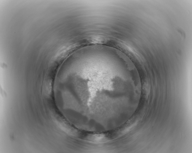 X0000091350554200708101532