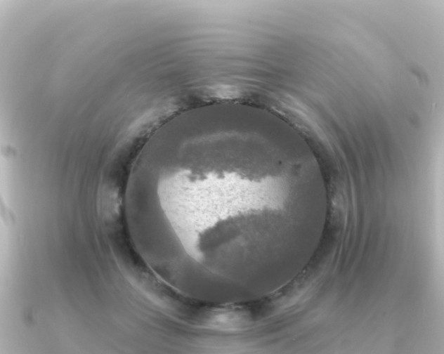 X0000091350555200708101532