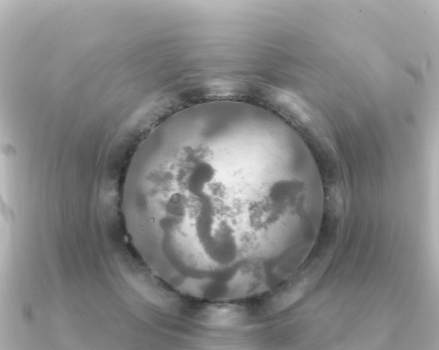 X0000091350557200708101532