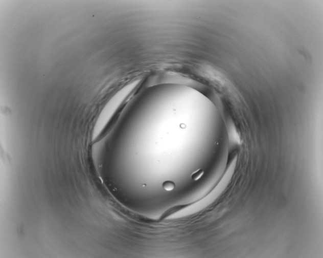 X0000091350558200708101532