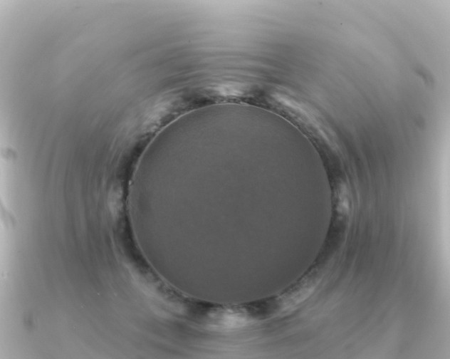 X0000091350559200708101532