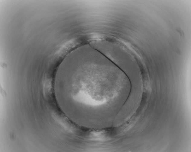X0000091350560200708101532