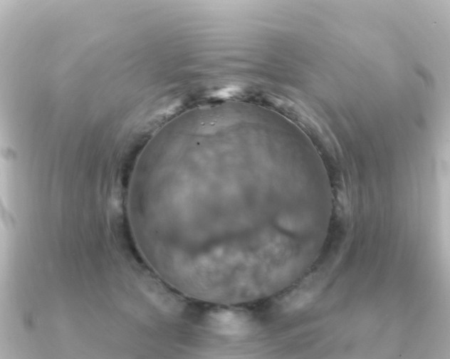 X0000091350561200708101532