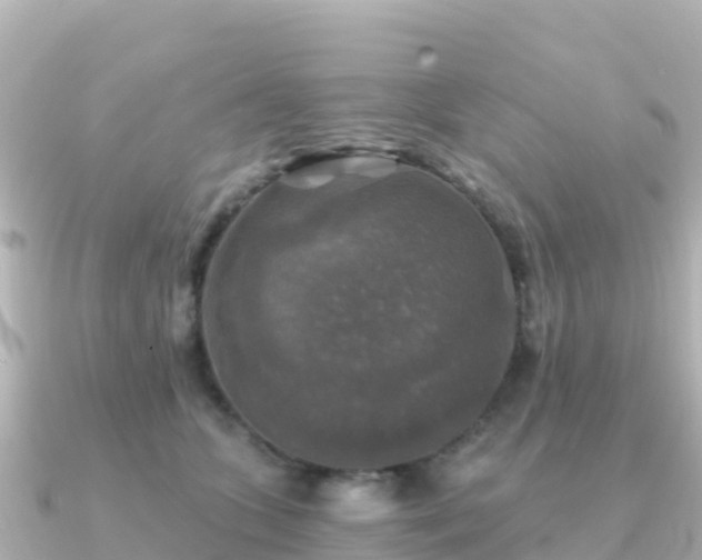 X0000091350563200708101532