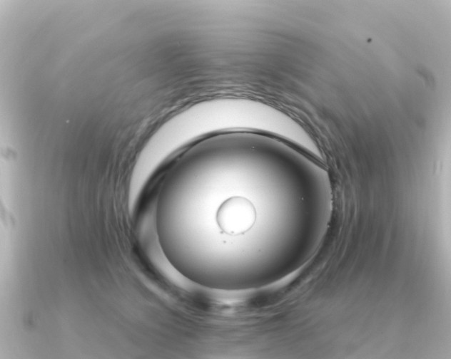 X0000091350564200708101532