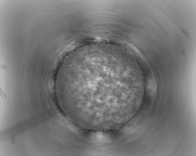 X0000091350565200708101532