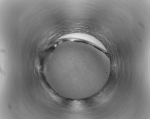 X0000091350566200708101532