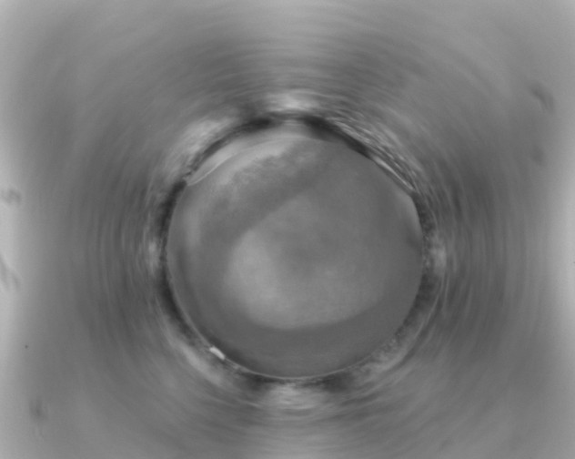 X0000091350568200708101532