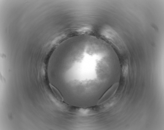 X0000091350570200708101532