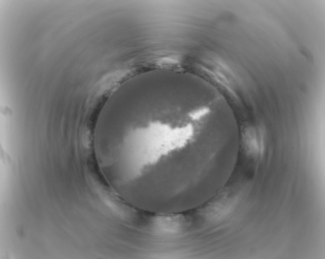 X0000091350571200708101532