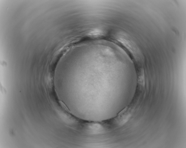 X0000091350572200708101532