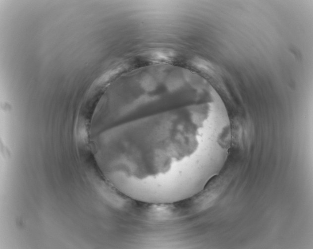 X0000091350573200708101532