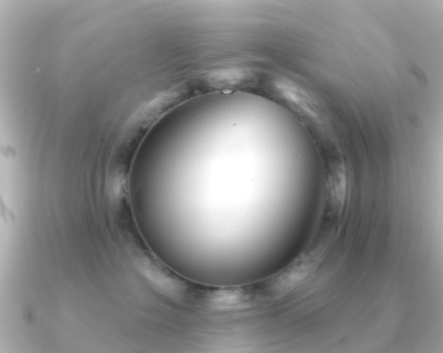 X0000091350574200708101532