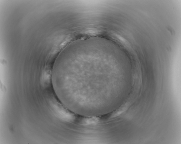 X0000091350576200708101532
