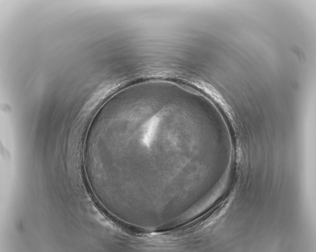 X0000091350577200708101532