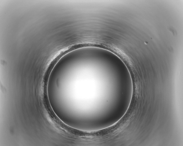 X0000091350580200708101532