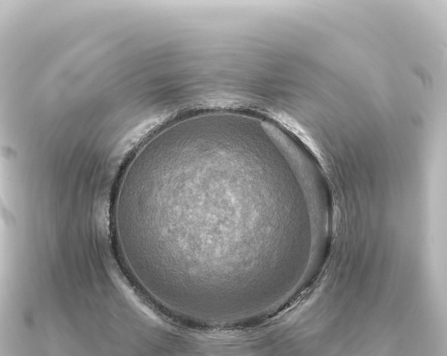 X0000091350581200708101532