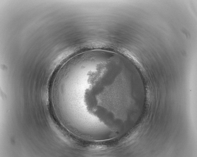 X0000091350582200708101532