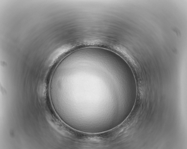 X0000091350583200708101532