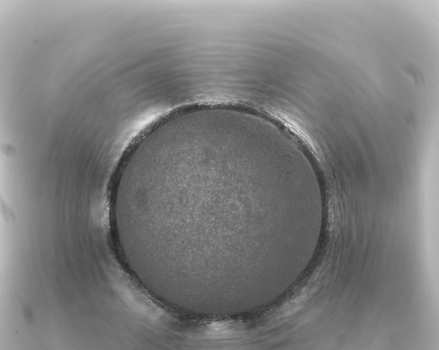 X0000091350584200708101532