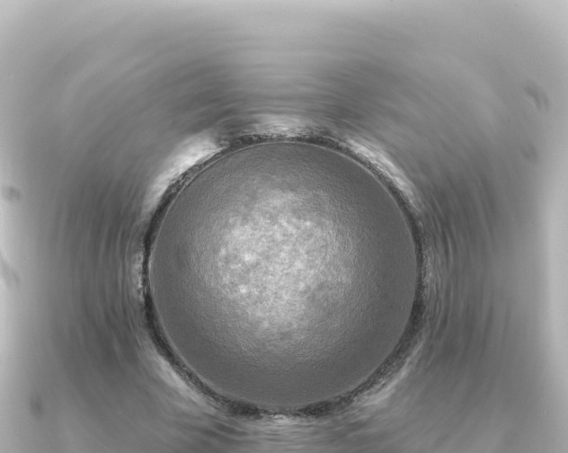 X0000091350585200708101532
