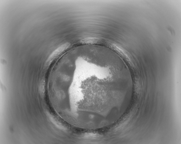 X0000091350586200708101532