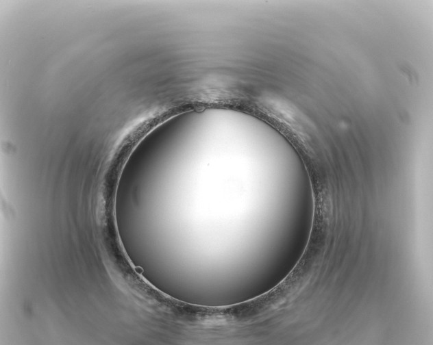 X0000091350587200708101532