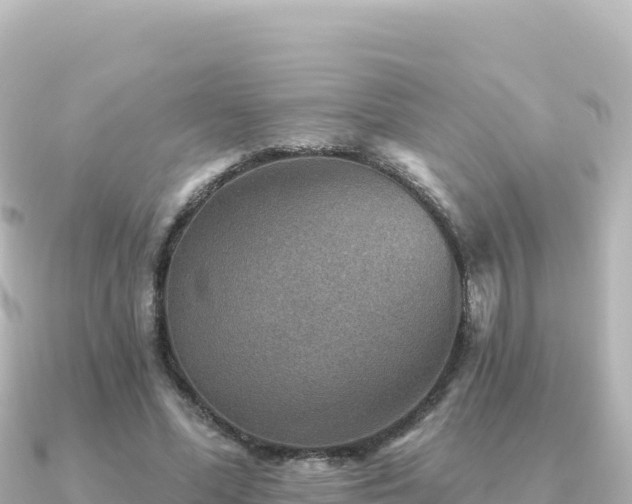 X0000091350588200708101532