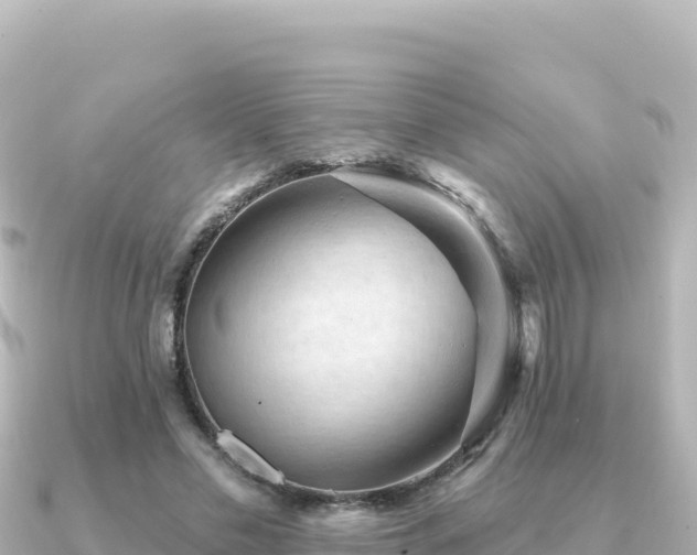 X0000091350589200708101532