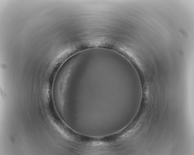 X0000091350590200708101532