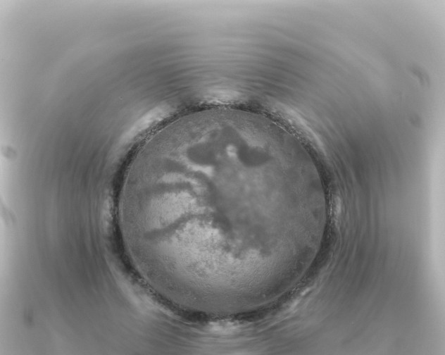 X0000091350591200708101532