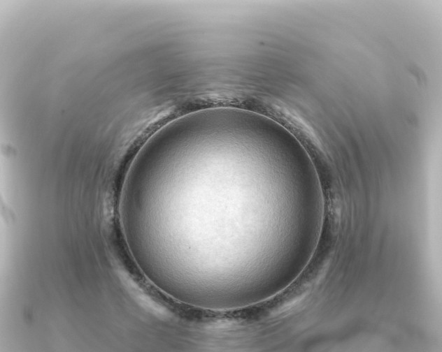 X0000091350593200708101532
