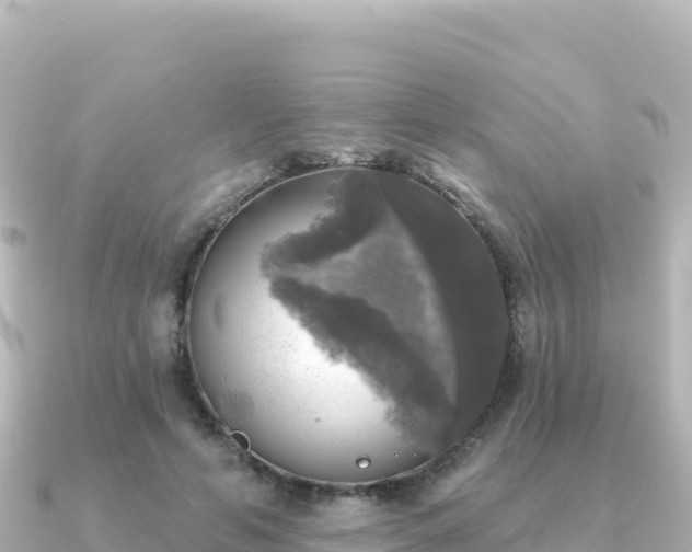 X0000091350594200708101532