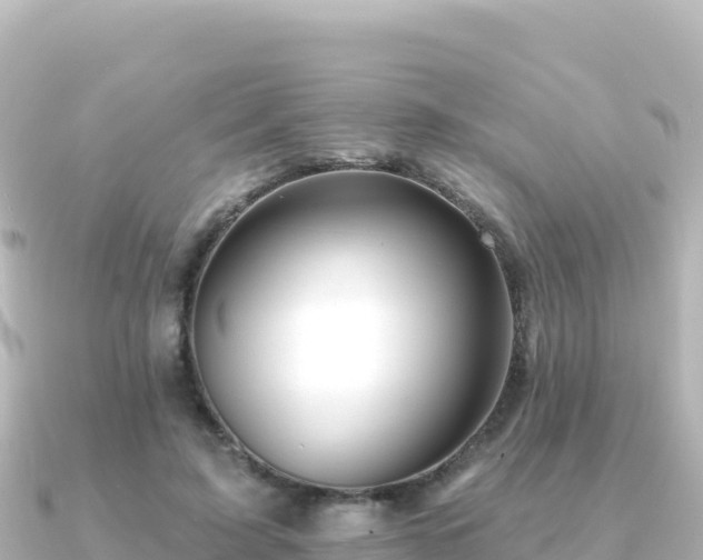 X0000091350595200708101532